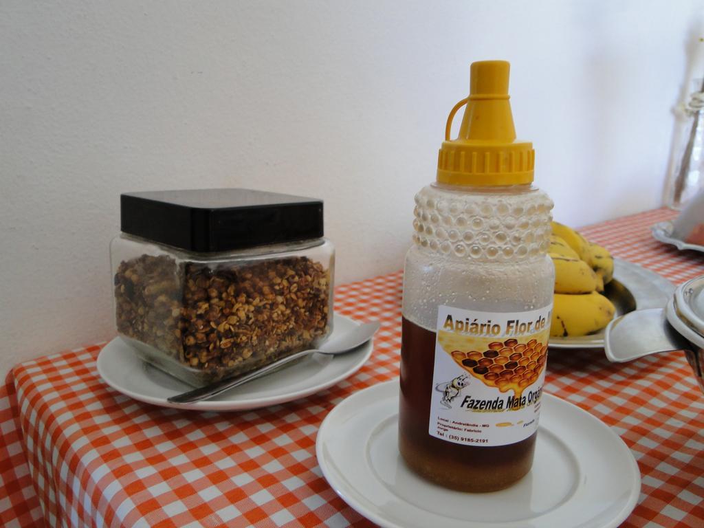 Pousada Pico Do Papagaio 阿尤鲁奥卡 外观 照片